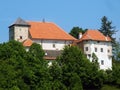 Orsic Old Castle, Slavetic Croatia - Stari Dvorac OrÃÂ¡iÃâ¡ ili Stari Grad SlavetiÃâ¡ Hrvatska